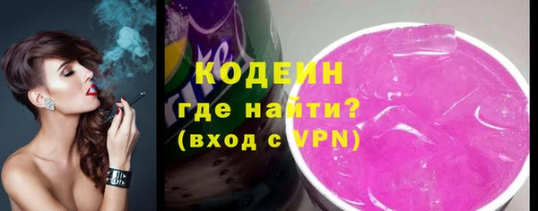 индика Надым