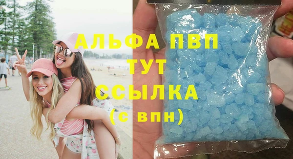 индика Надым